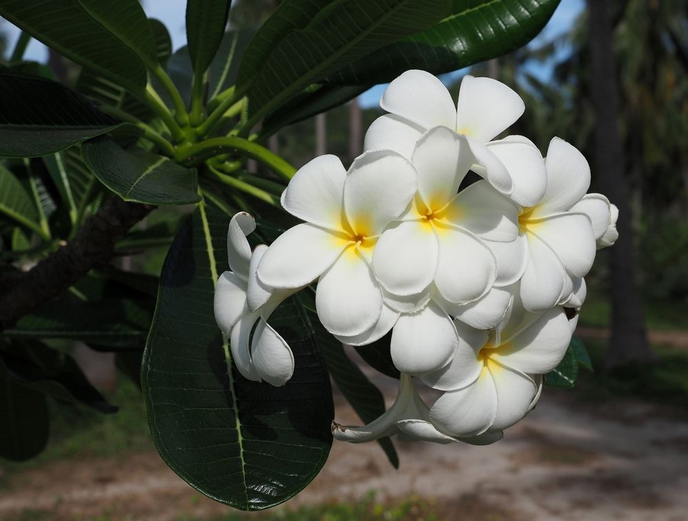 Photograph by Андрей Анатольевич