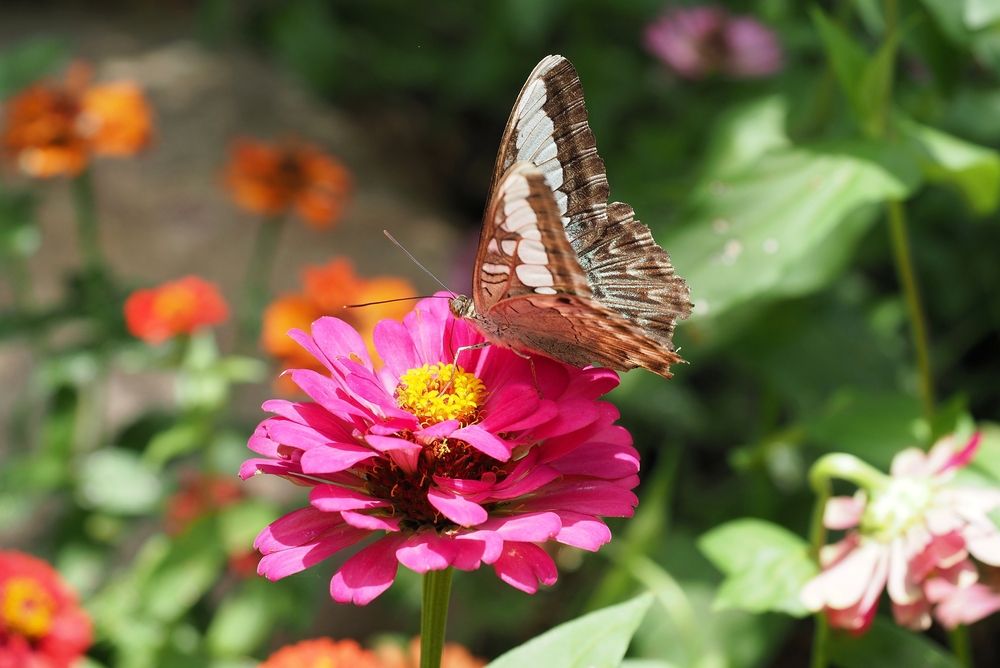 Photograph by Андрей Анатольевич