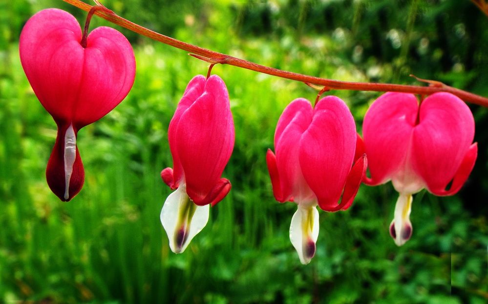 Photograph by Александр Бастраков