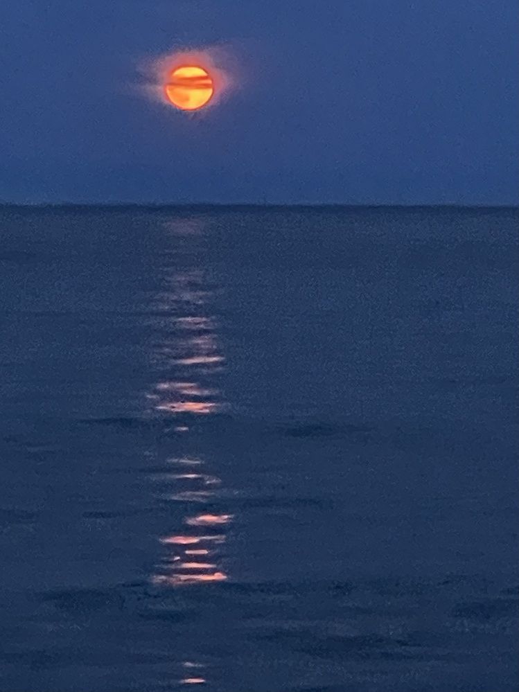 Photograph by Оксана Абакумова