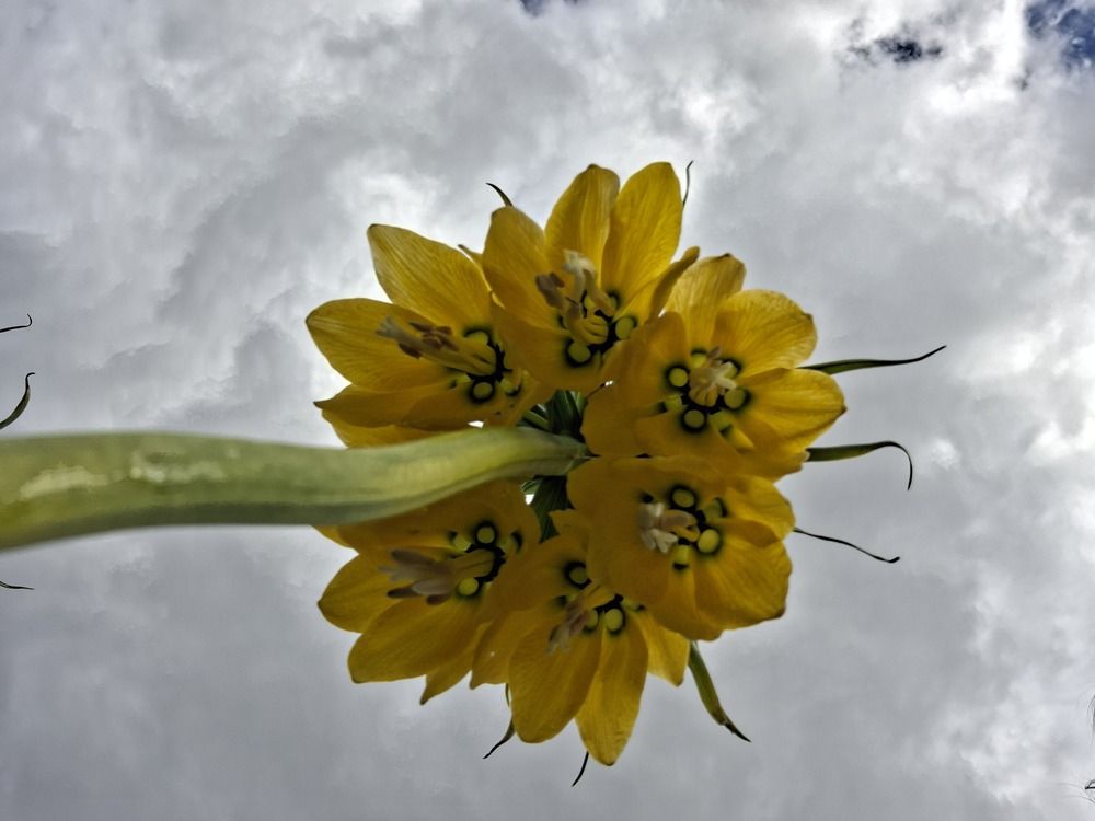 Photograph by Анна