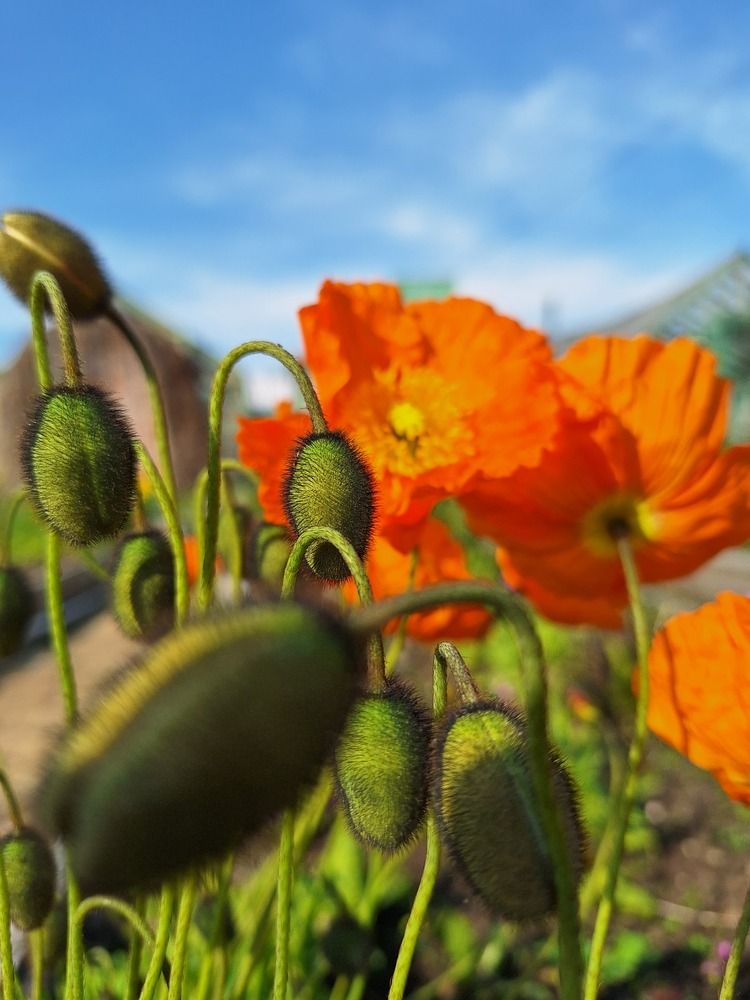 Photograph by Анна