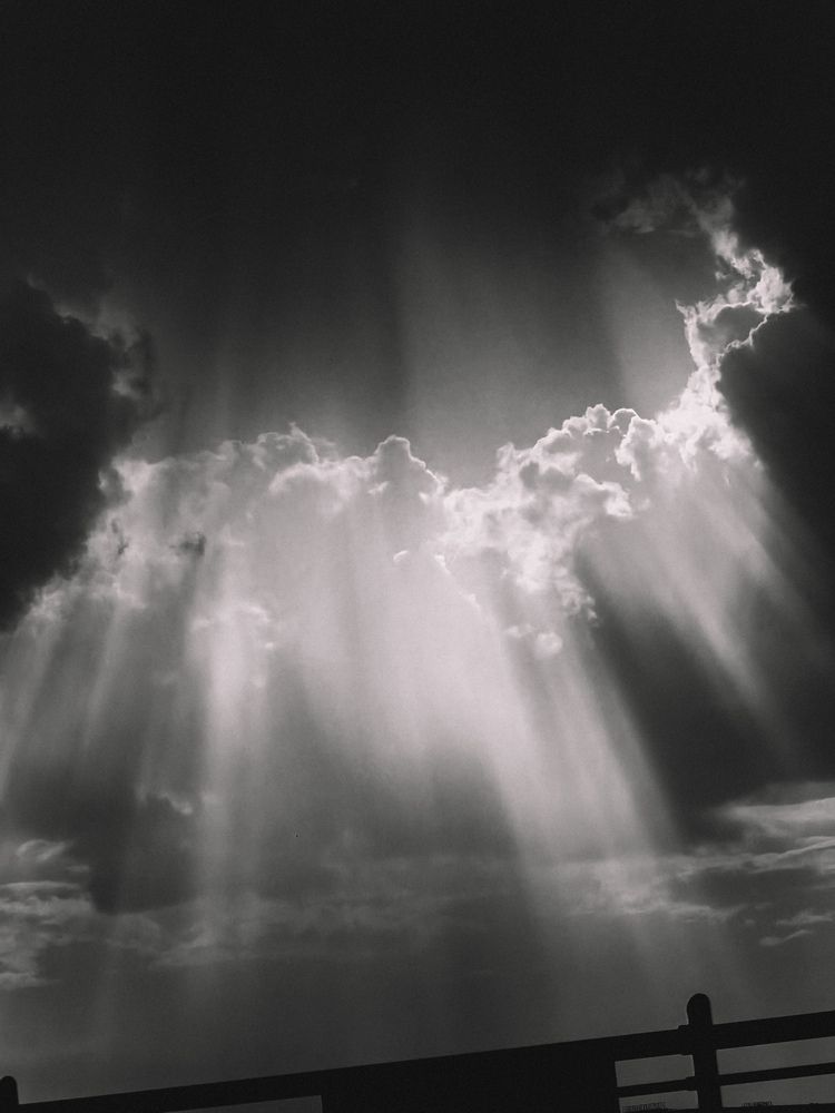 Фотография автора Анна Ворончихина