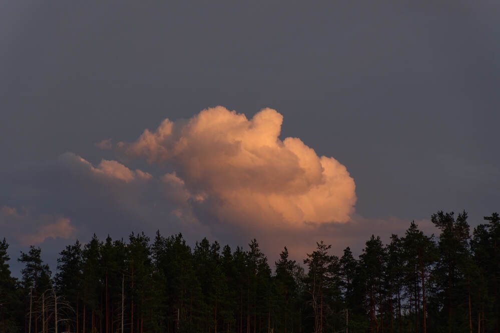 Photograph by Dana Korolkova