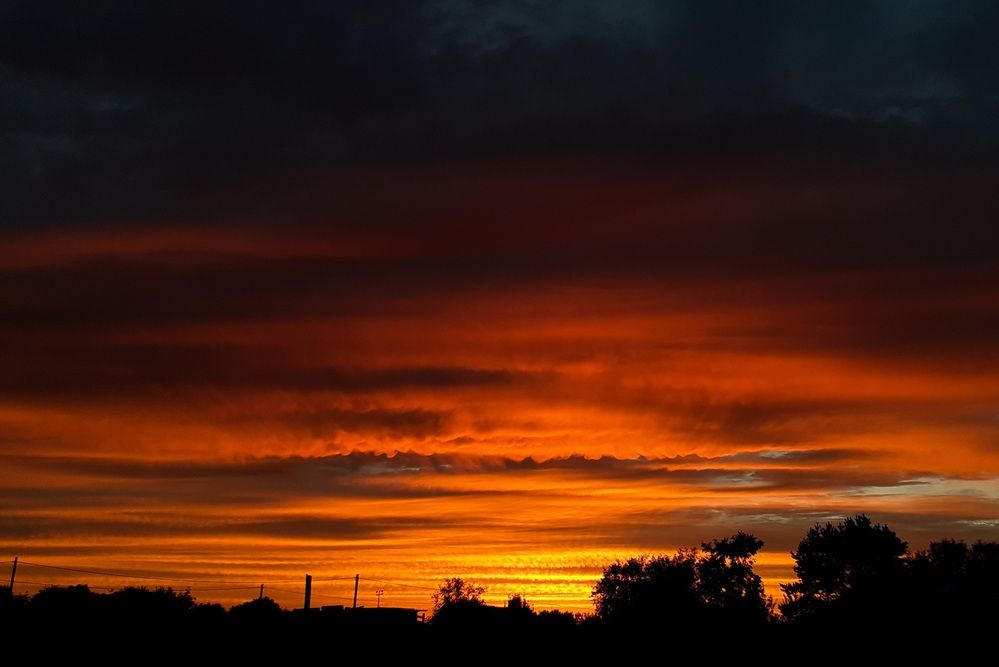 Фотография автора Кристина Присяжная