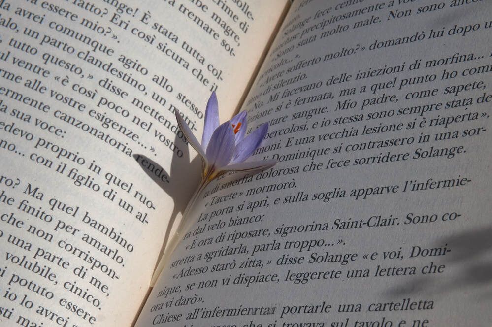 Photograph by Dana Korolkova