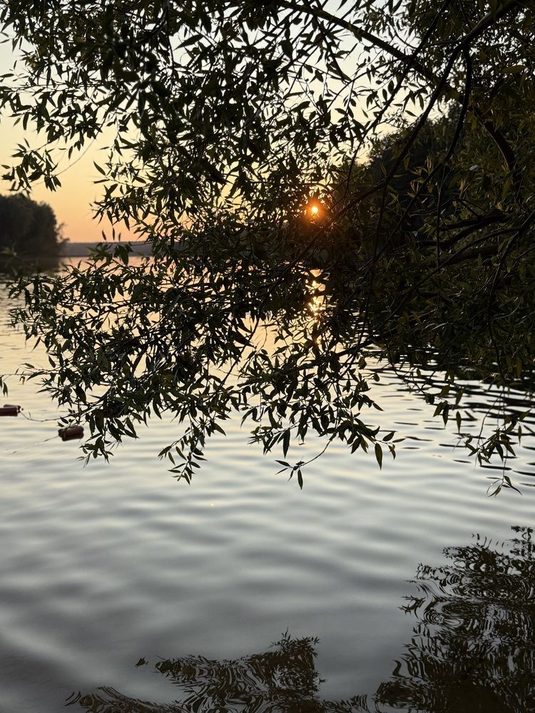 Photograph by Марта