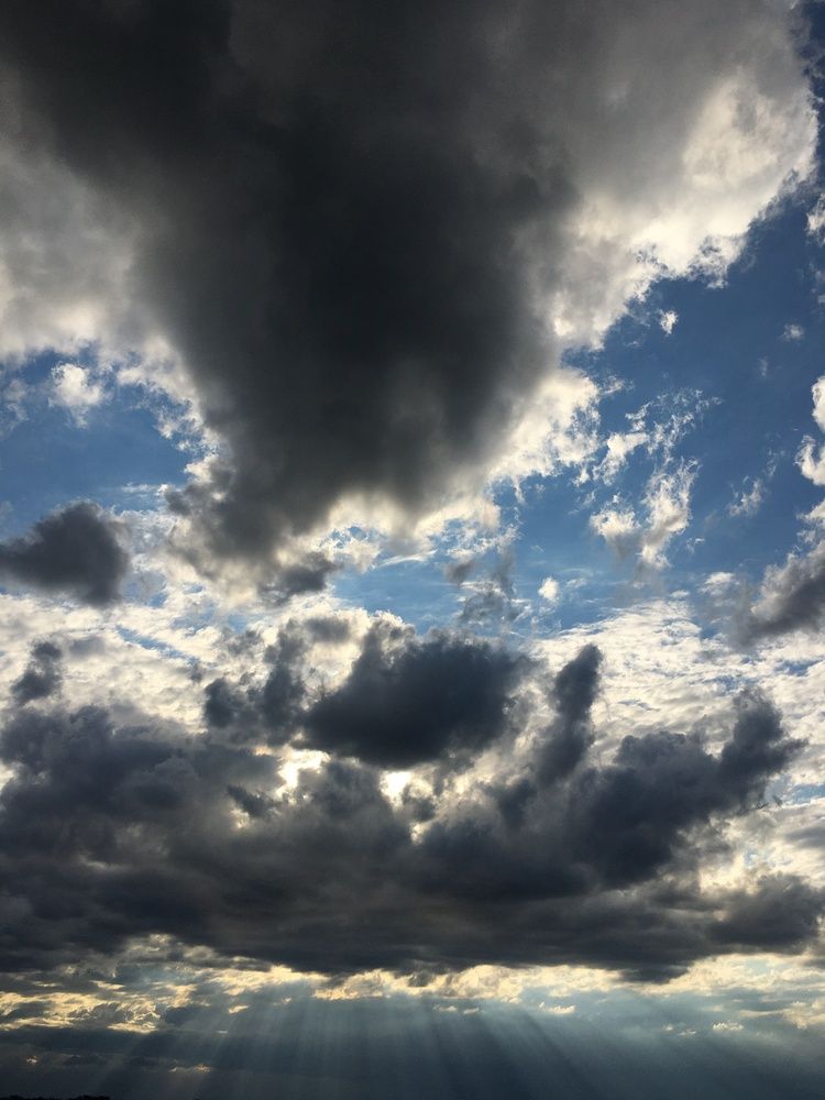 Фотография автора Балановская Виктория