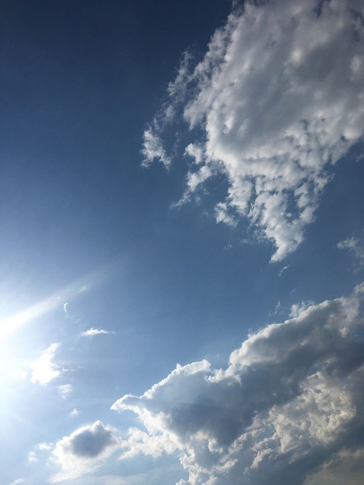 Фотография автора Балановская Виктория