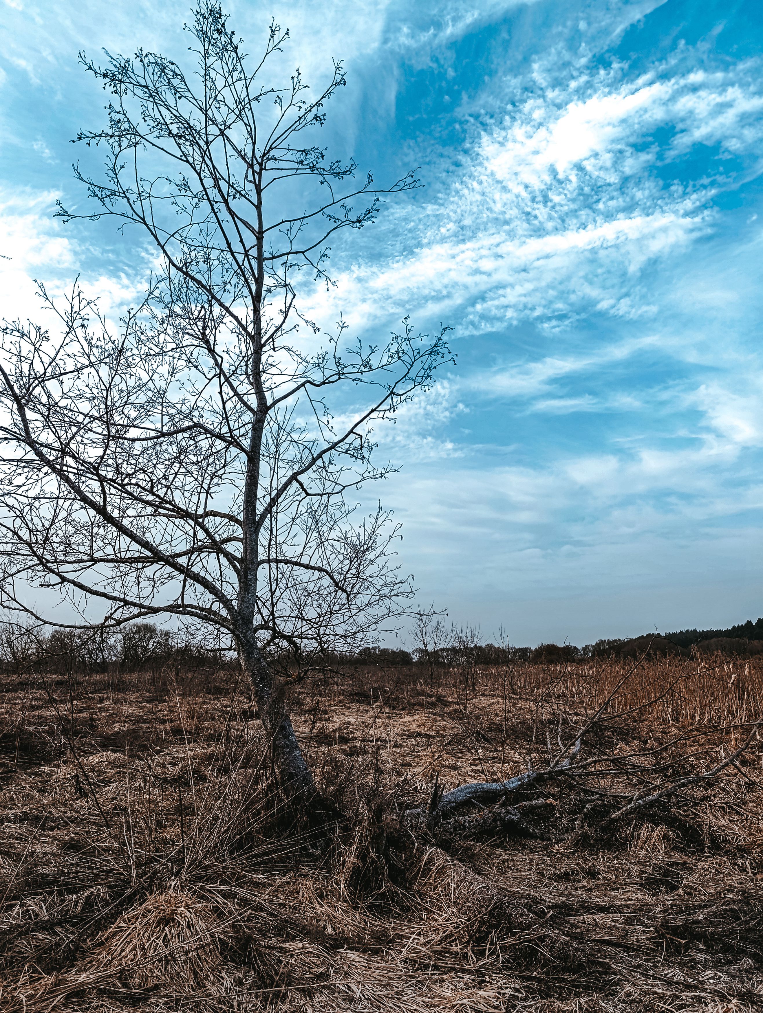 Фотография автора Светлана Таркан