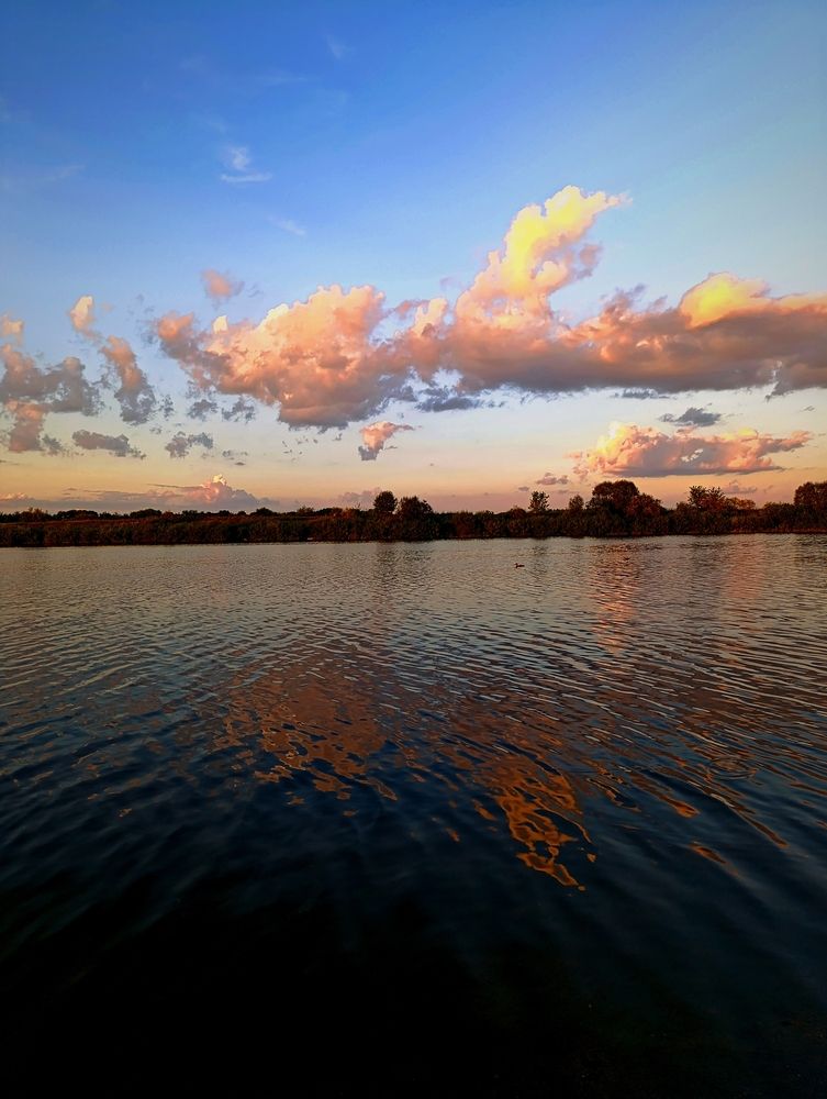 Фотография автора Светлана Таркан