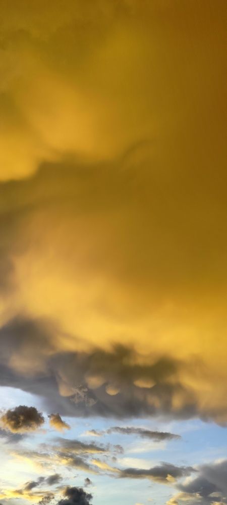 Фотография автора Анастасия Горбачева