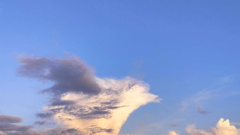 Фотография автора Анастасия Горбачева