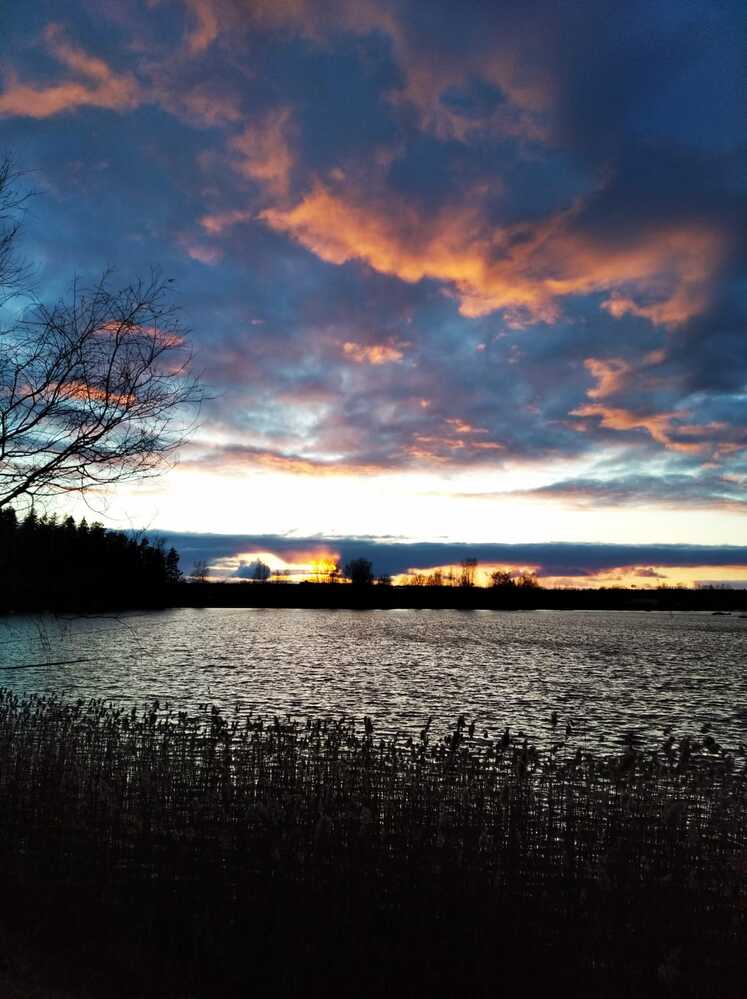 Photograph by Anna Krivorucko