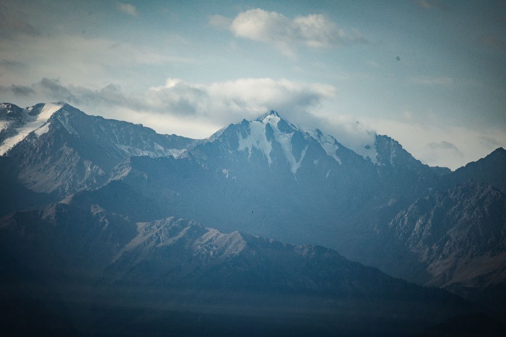 Фотография автора Юлия Мальнева