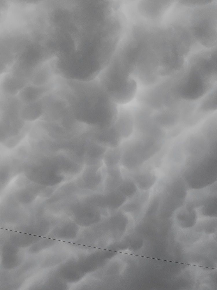 Фотография автора Кристина Присяжная