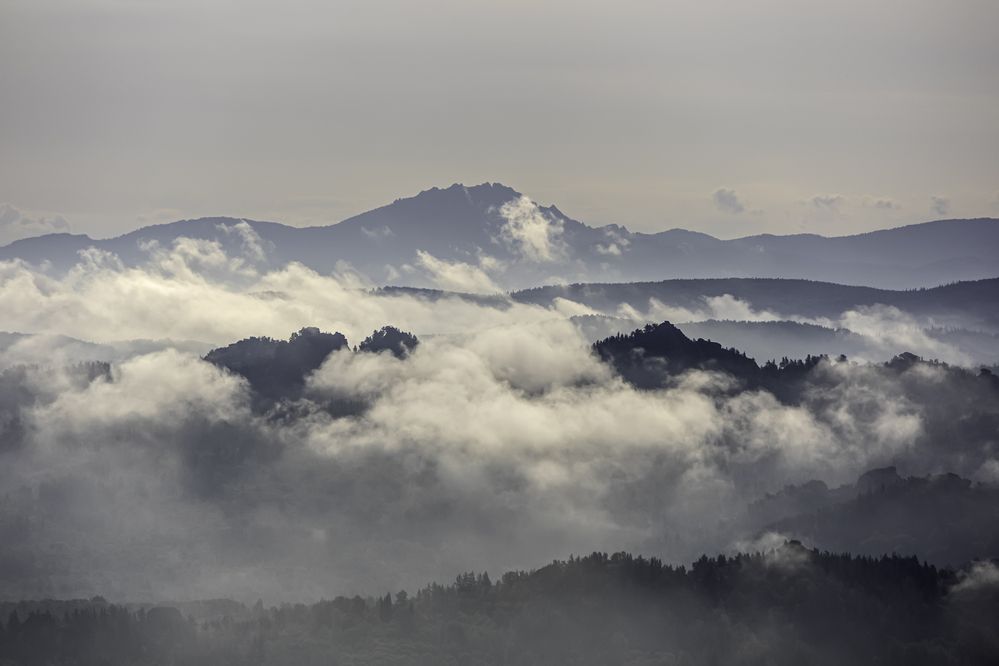 Photograph by Александра