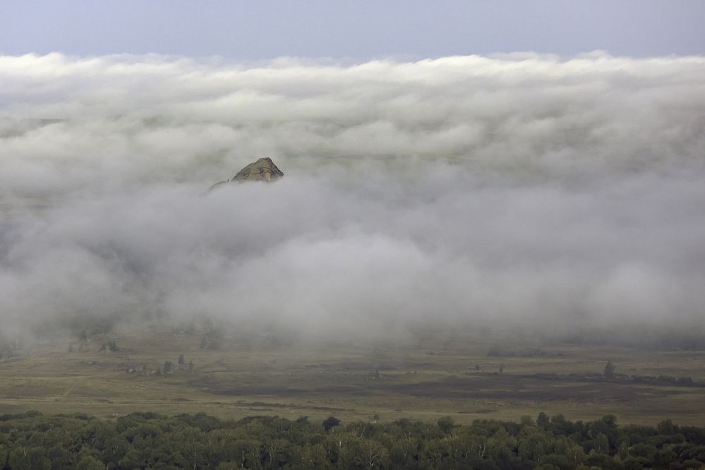 Photograph by Александра