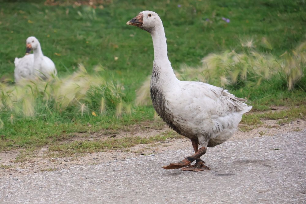 Photograph by Александра