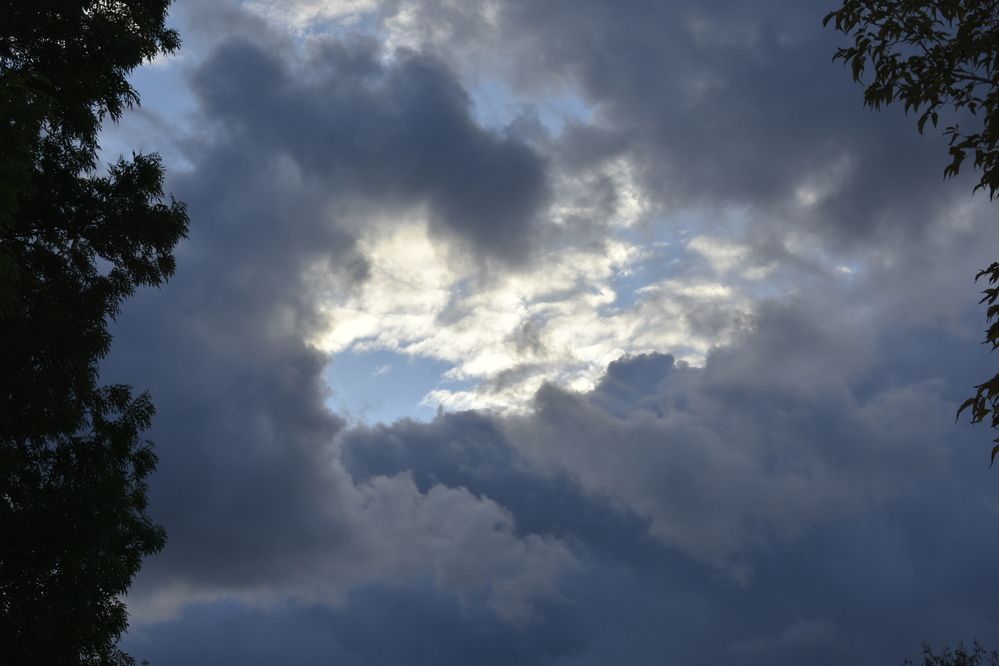 Фотография автора Юлия Ю.