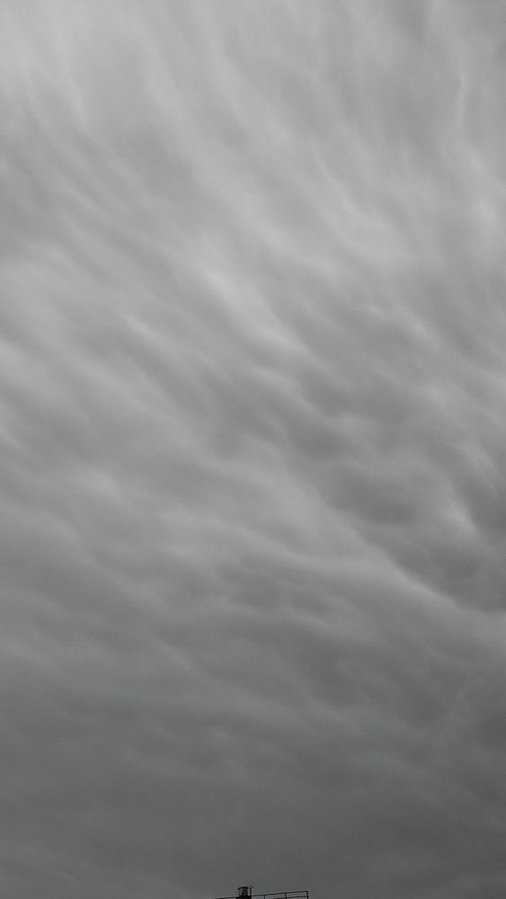 Фотография автора Кристина Присяжная