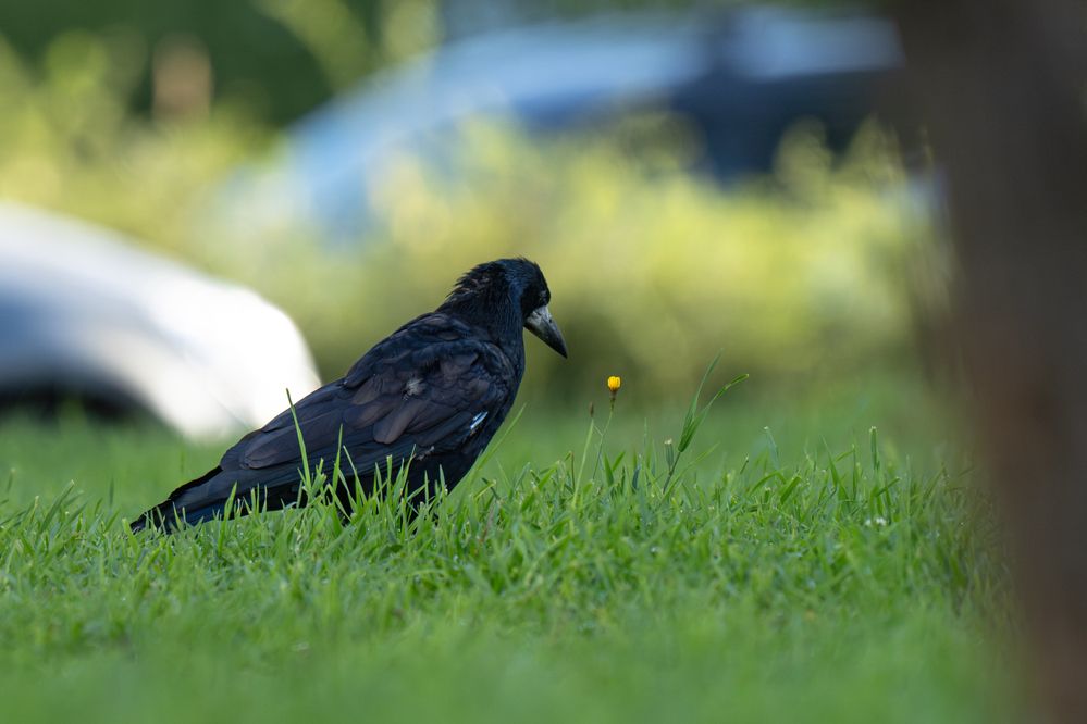 Фотография автора Сергей Малинкин