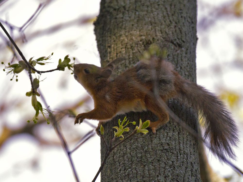 Photograph by Александра Константинова