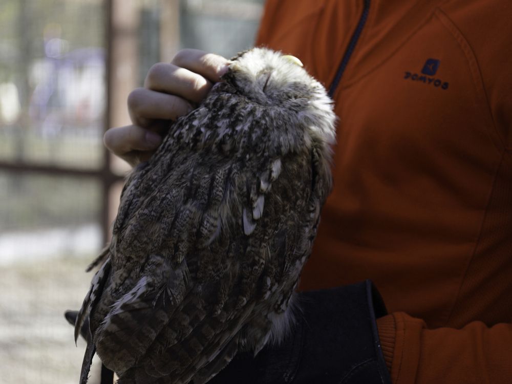 Photograph by Александра Константинова