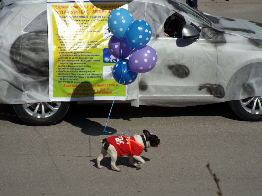 Photograph by Александр Бастраков