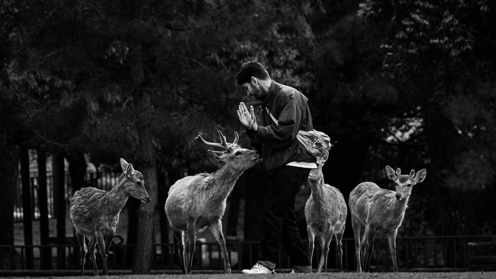 Фотография автора SHAKE MD SAMIR