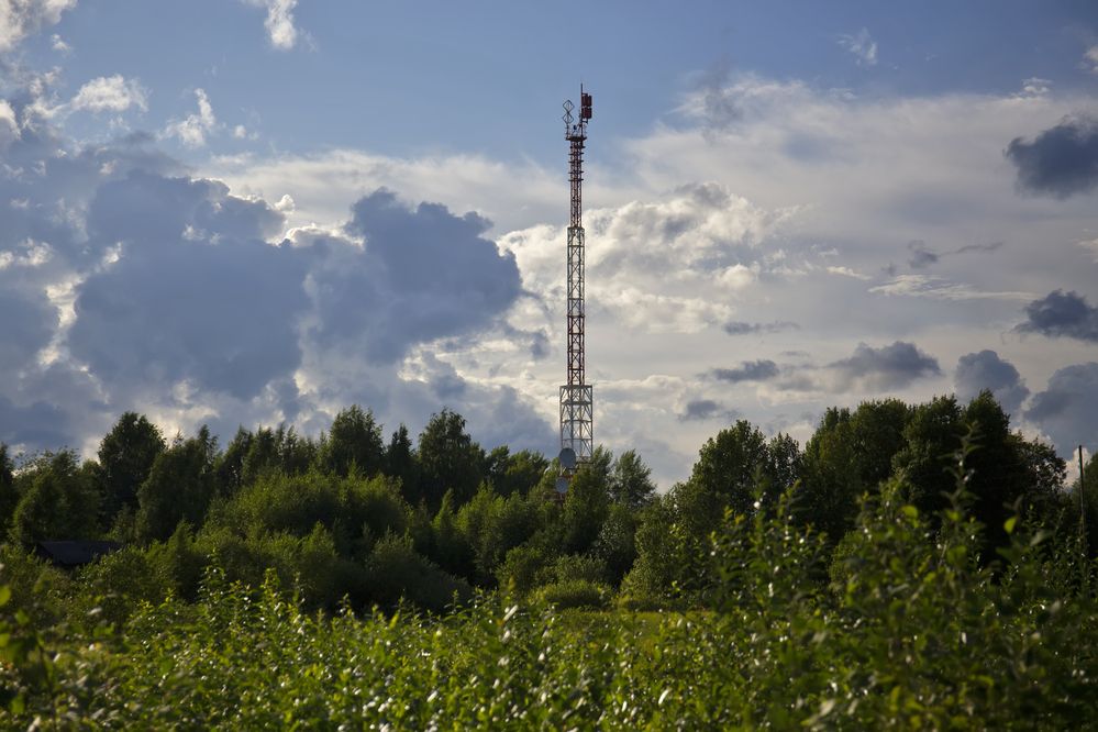 Photograph by Александра Константинова