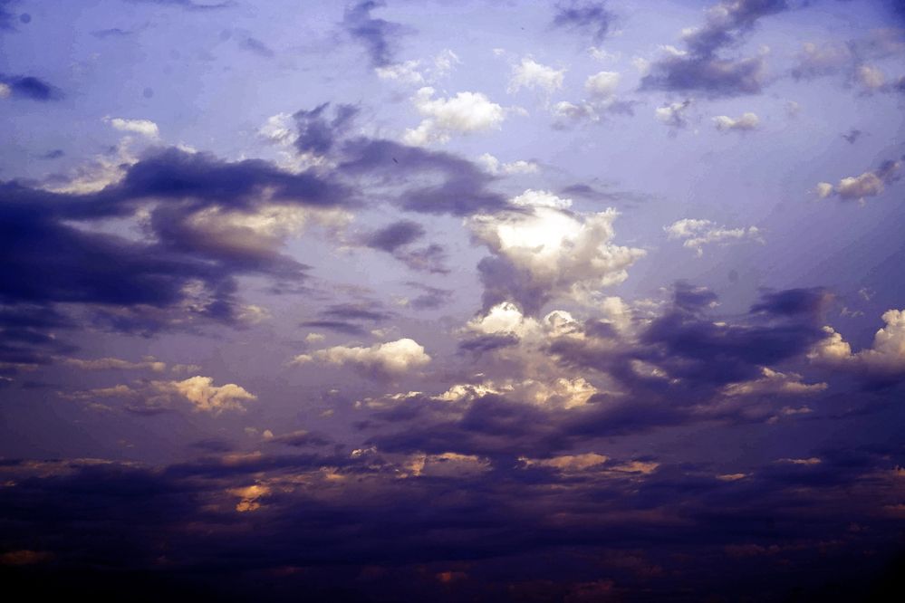 Фотография автора Елена Суворова