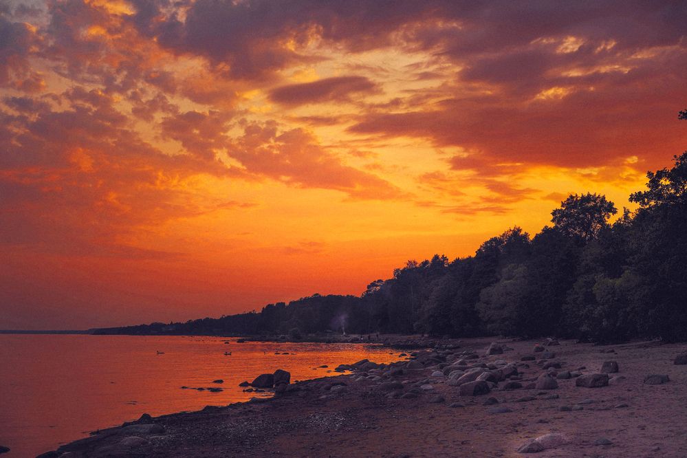 Фотография автора Елена Суворова