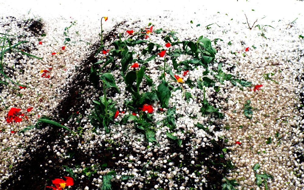 Photograph by Александр Бастраков