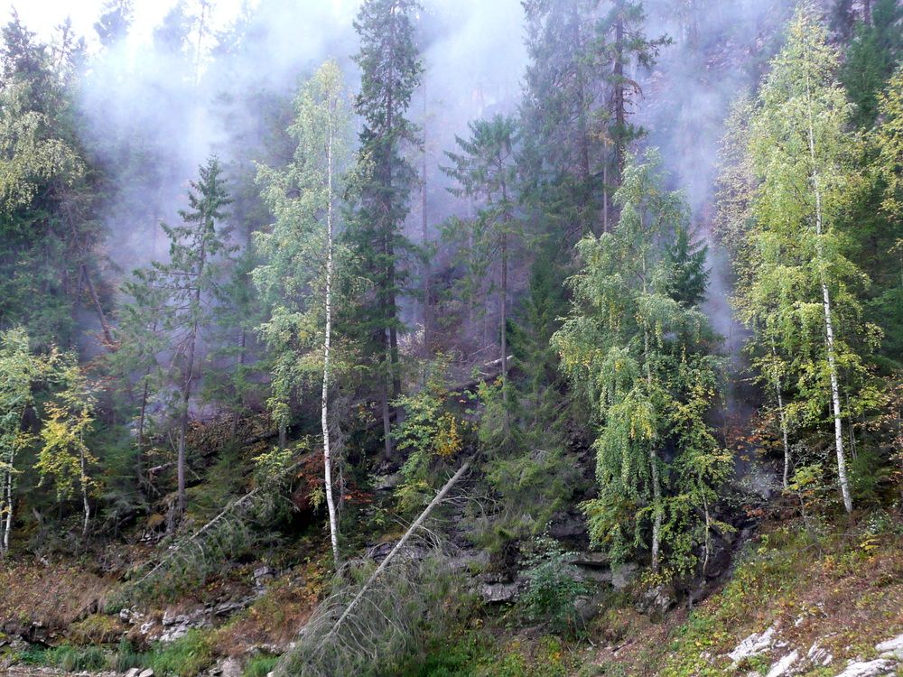 Photograph by Александр Бастраков