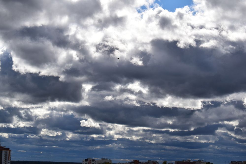 Photograph by Даниэль