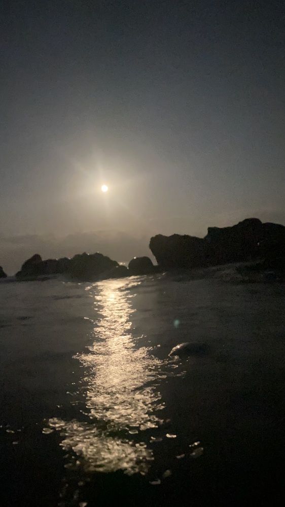 Photograph by Aleksey Mayorov