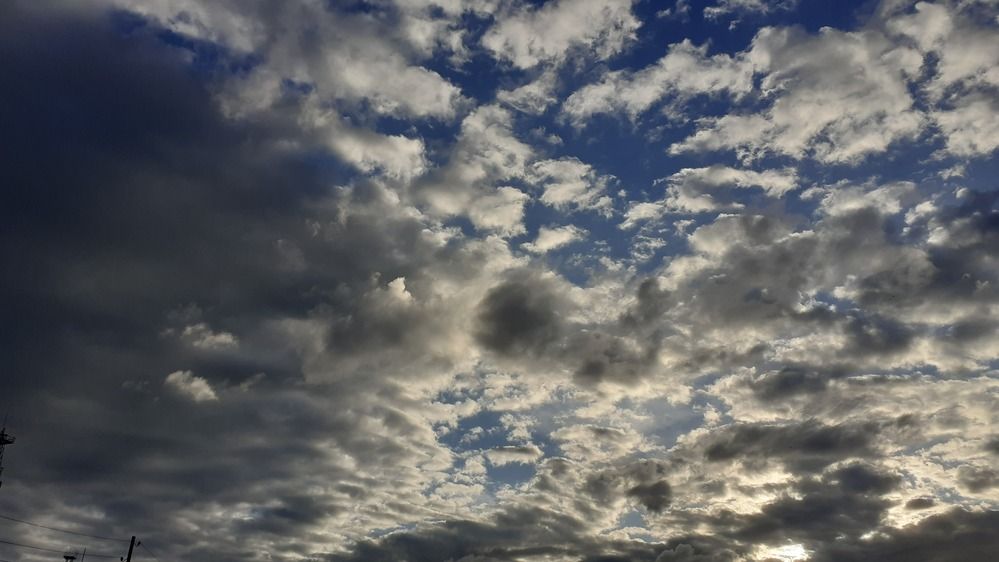 Фотография автора Елена Лещева