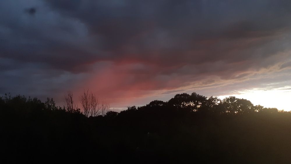 Фотография автора Елена Лещева