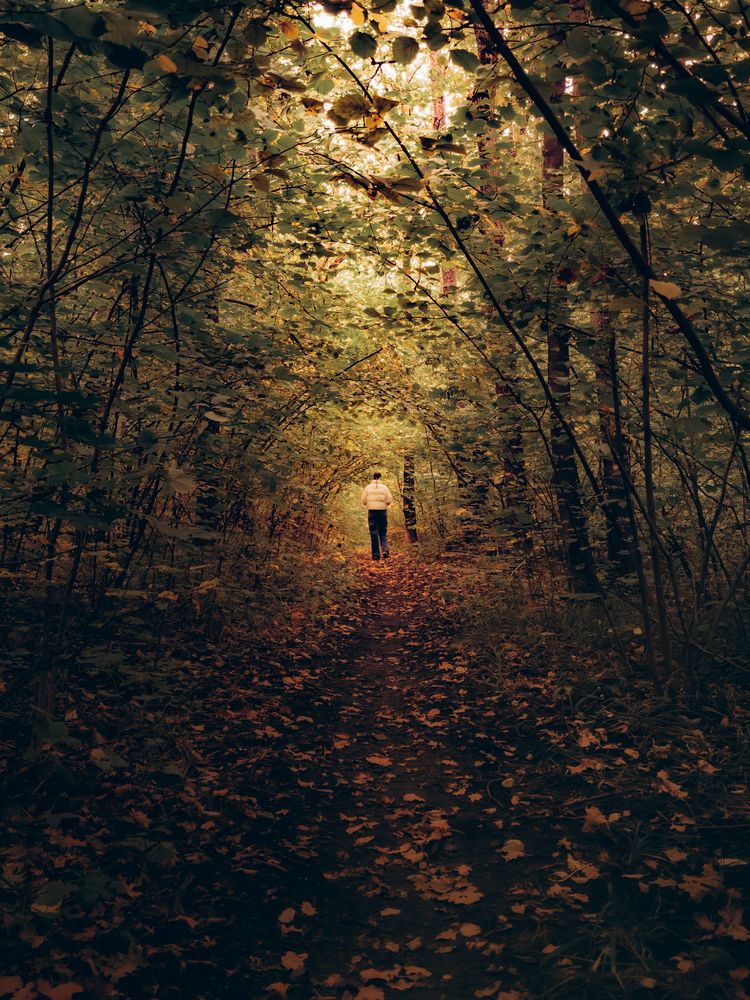 Фотография автора Илья Антипов