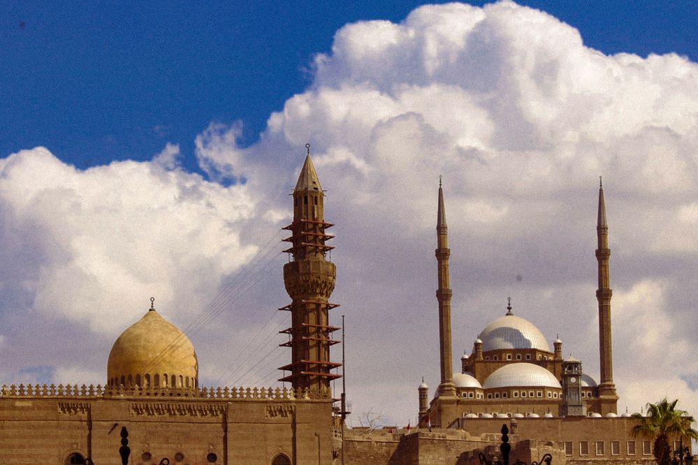 Photograph by Alaa Wahba