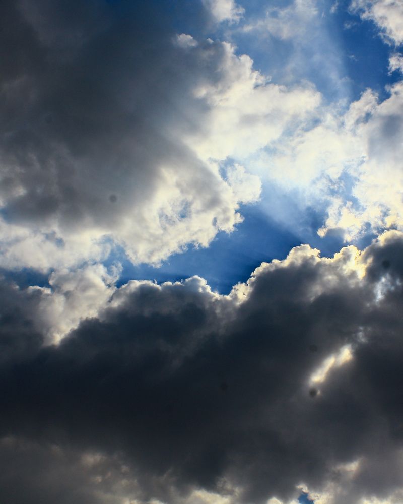 Photograph by Alaa Wahba