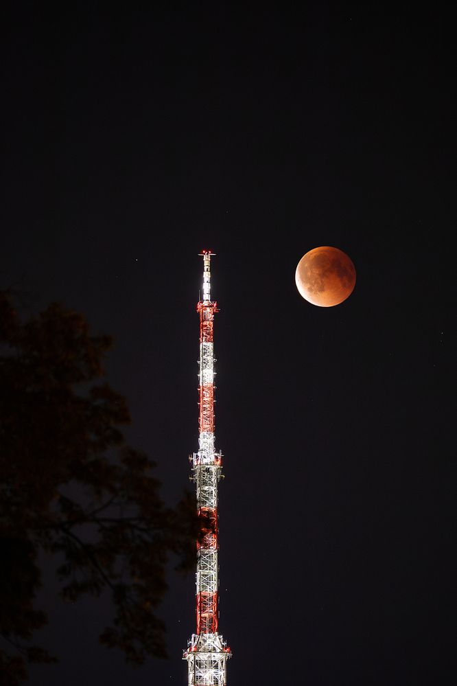 We caught the lunar eclipse!