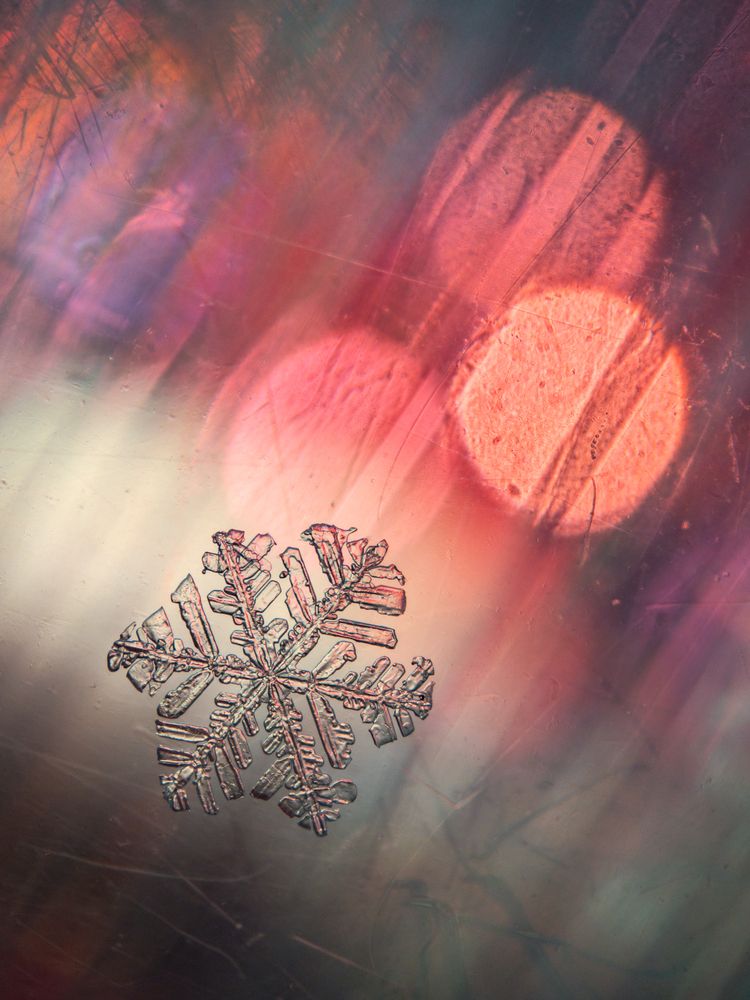 Photograph by Наталья Пешкова