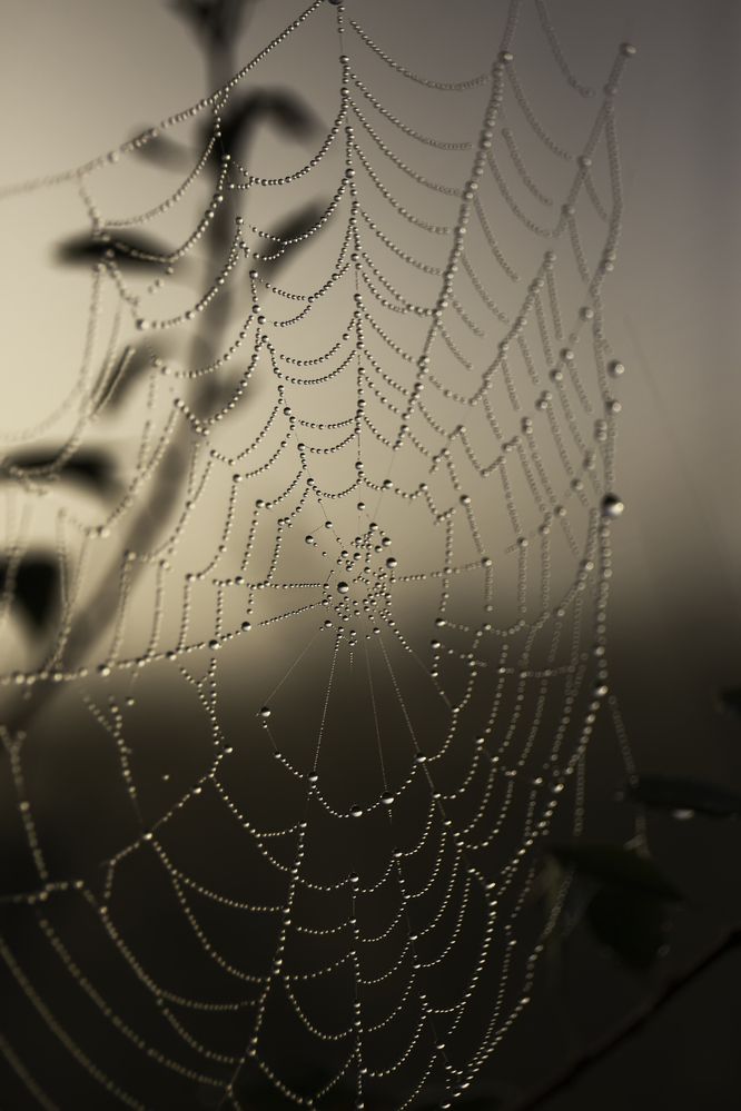 Photograph by Александра Константинова