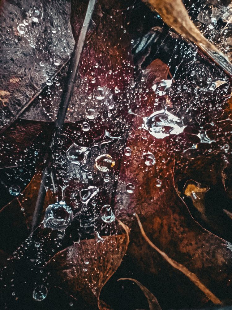 Фотография автора Светлана Таркан