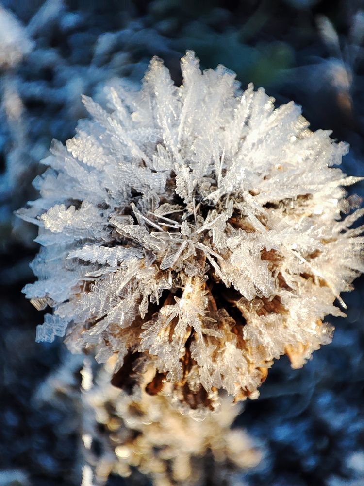 Фотография автора Людмила Кузнецова