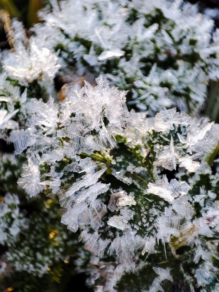 Фотография автора Людмила Кузнецова