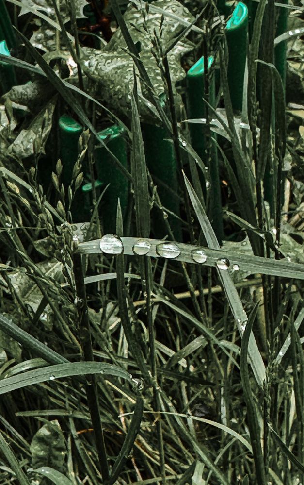 Photograph by Оксана Абакумова