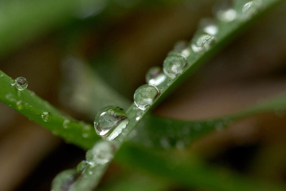 Photograph by Dana Korolkova